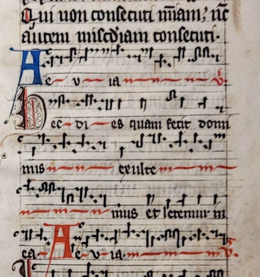 Several staves of music containing Alleluia chants for the Saturday after Easter.  The A of Alleluia is blue on the upper line and red several lines later; between them is a decorative H, for "Haec," in black and red. The notes have distinctive shapes: descending notes have a wiggle and a straight descending line, sort of like a right-angled 7,  while many ascending neumes look a bit like a backwards L. You could probably play some sort of Chant Tetris with them.