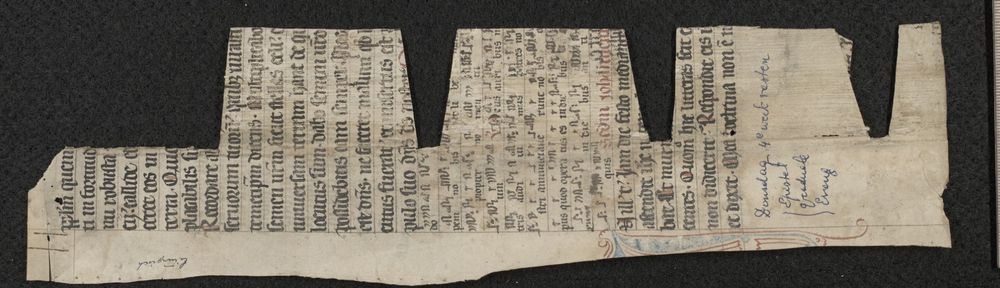 a piece of parchment extracted from a binding: one side is mostly straight, the other has large flaps, or maybe teeth like a jack-o-lantern. Readings and chants for the fourth week of Lent are on the parchment, along with their identification in a more modern handwriting (possibly in blue ballpoint pen).