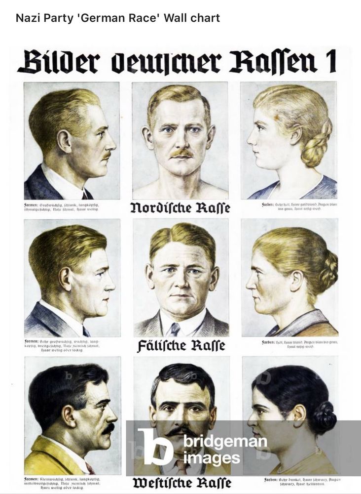 Nazi poster with really fucking stupid racial categories 