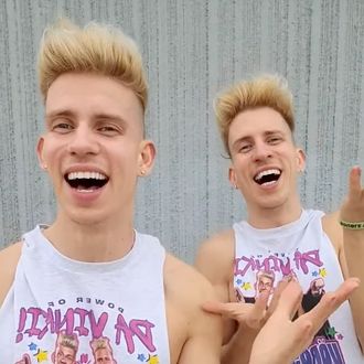 the da vinky twins