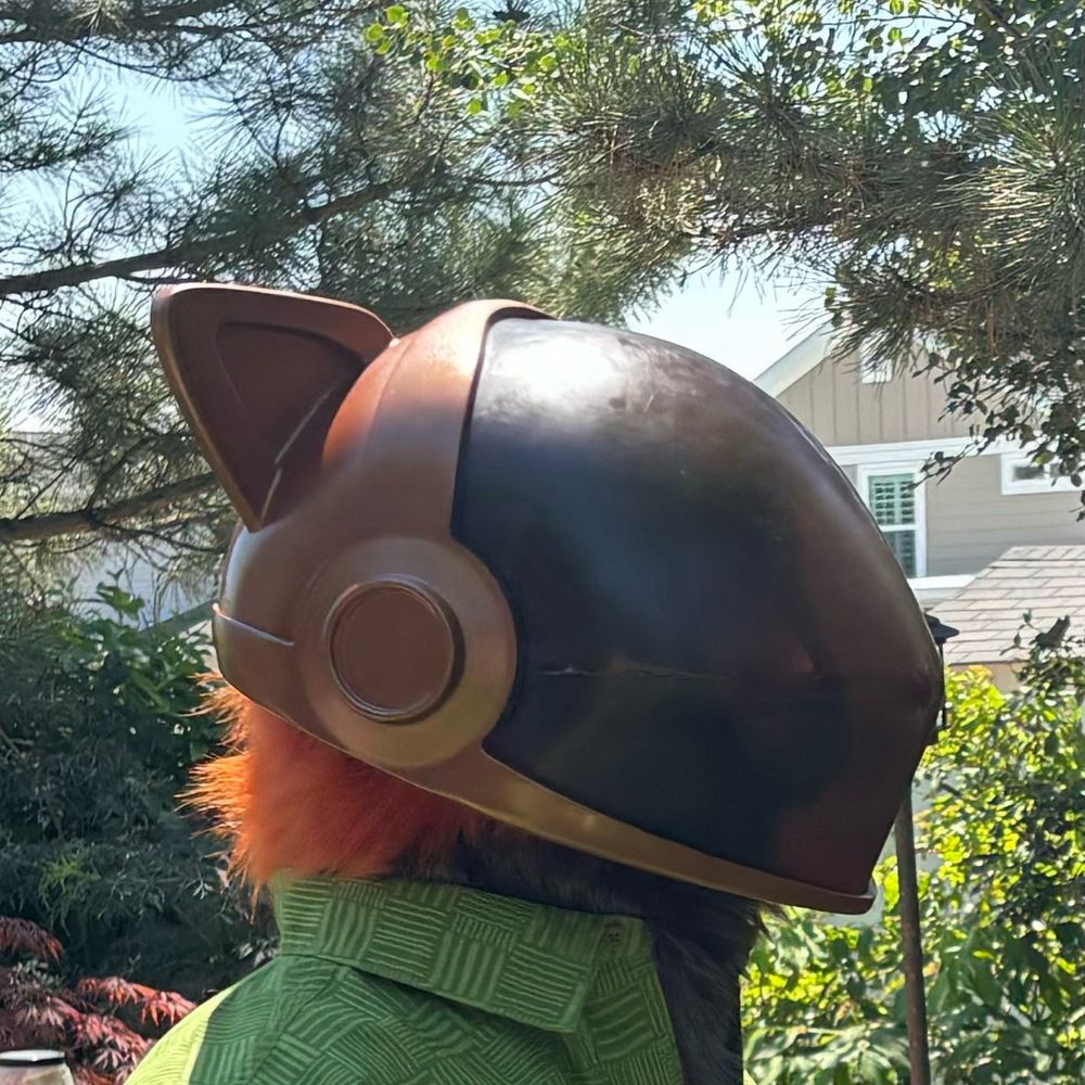Side view of the helmet. I love the copper color.