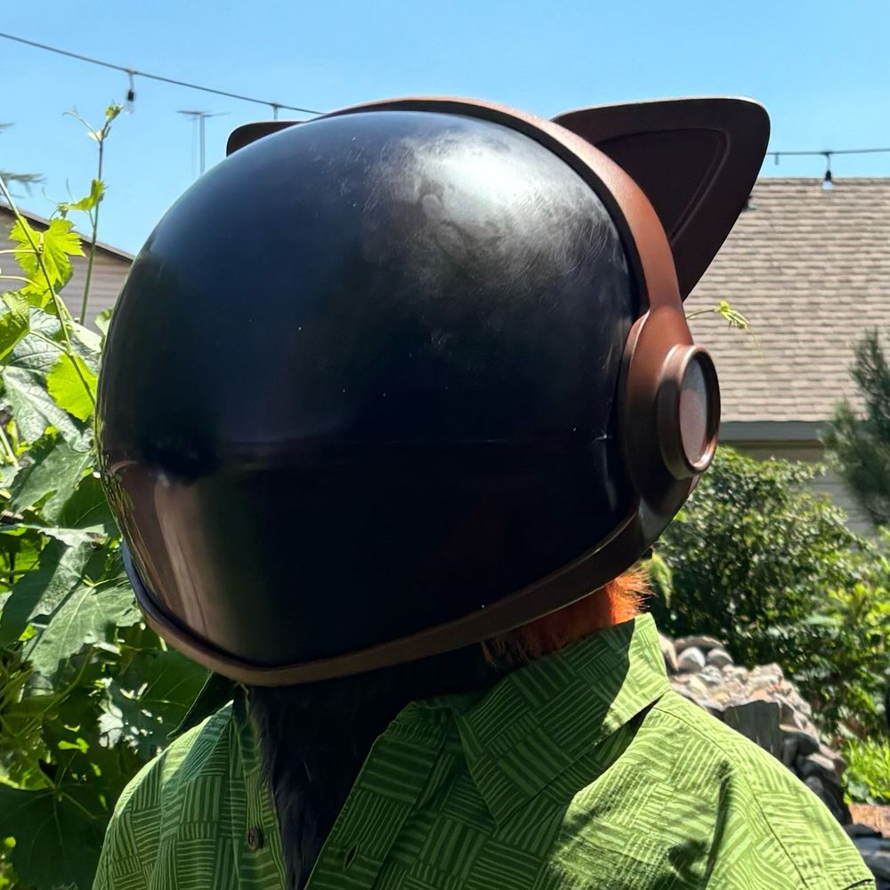 Front facing view of the helmet. From this angle the visor looks very big.