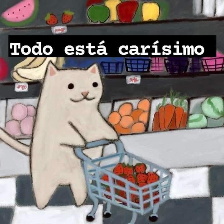 Pintura acrílica básica de gato puxando um carrinho de supermercado escrito "Todo está carísimo"