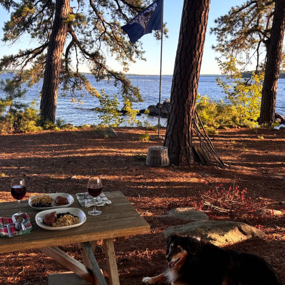 Picnic table with white plates and red wine glasses next to a lake with a dog