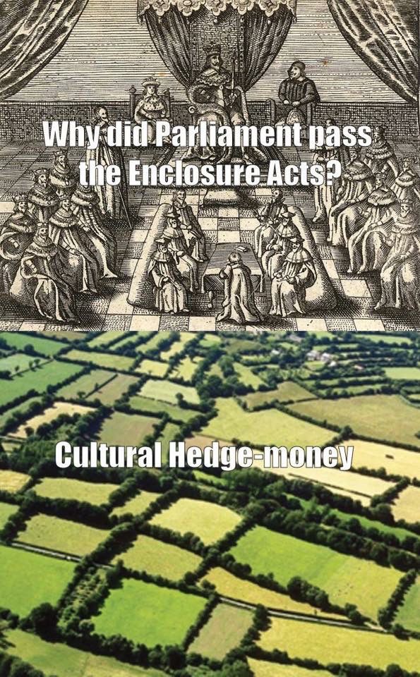 Two-panel meme. Top: old engraving of Parliament with text “Why did Parliament pass the Enclosure Acts?” Bottom: aerial photo of English fields enclosed by hedgerows, captioned “Cultural Hedge-money.” Visual pun on hedges, land privatization, and hegemony.
