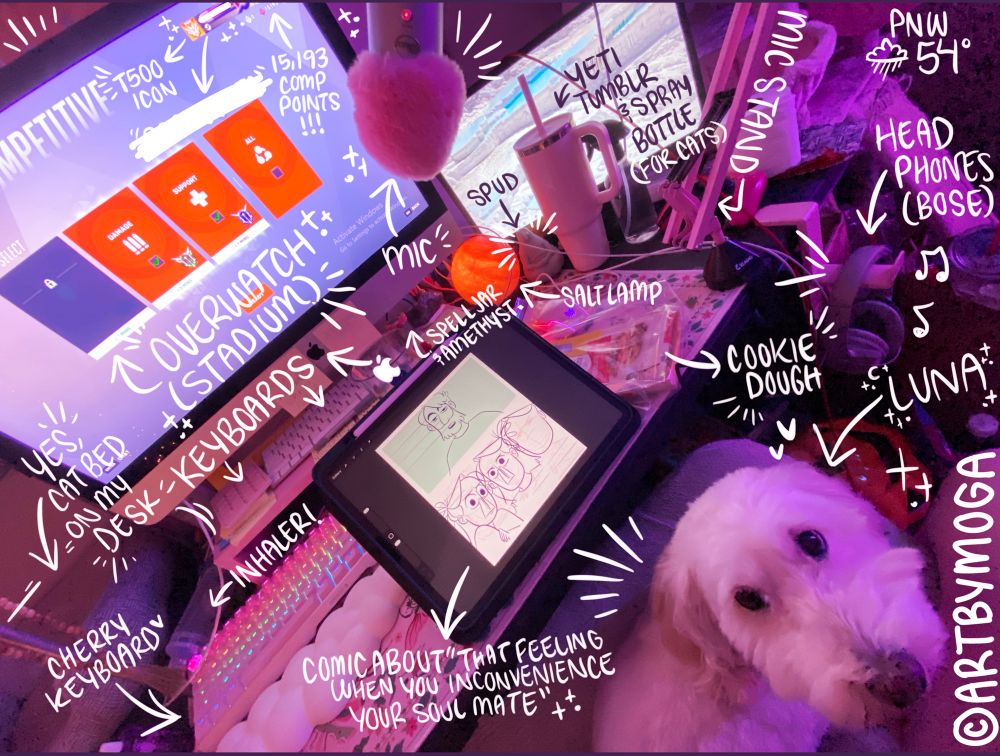 My chaotic desk with Luna sitting politely in my chair. I’m so sorry I don’t have the energy to write all the text. I’m really burnt ❤️❤️