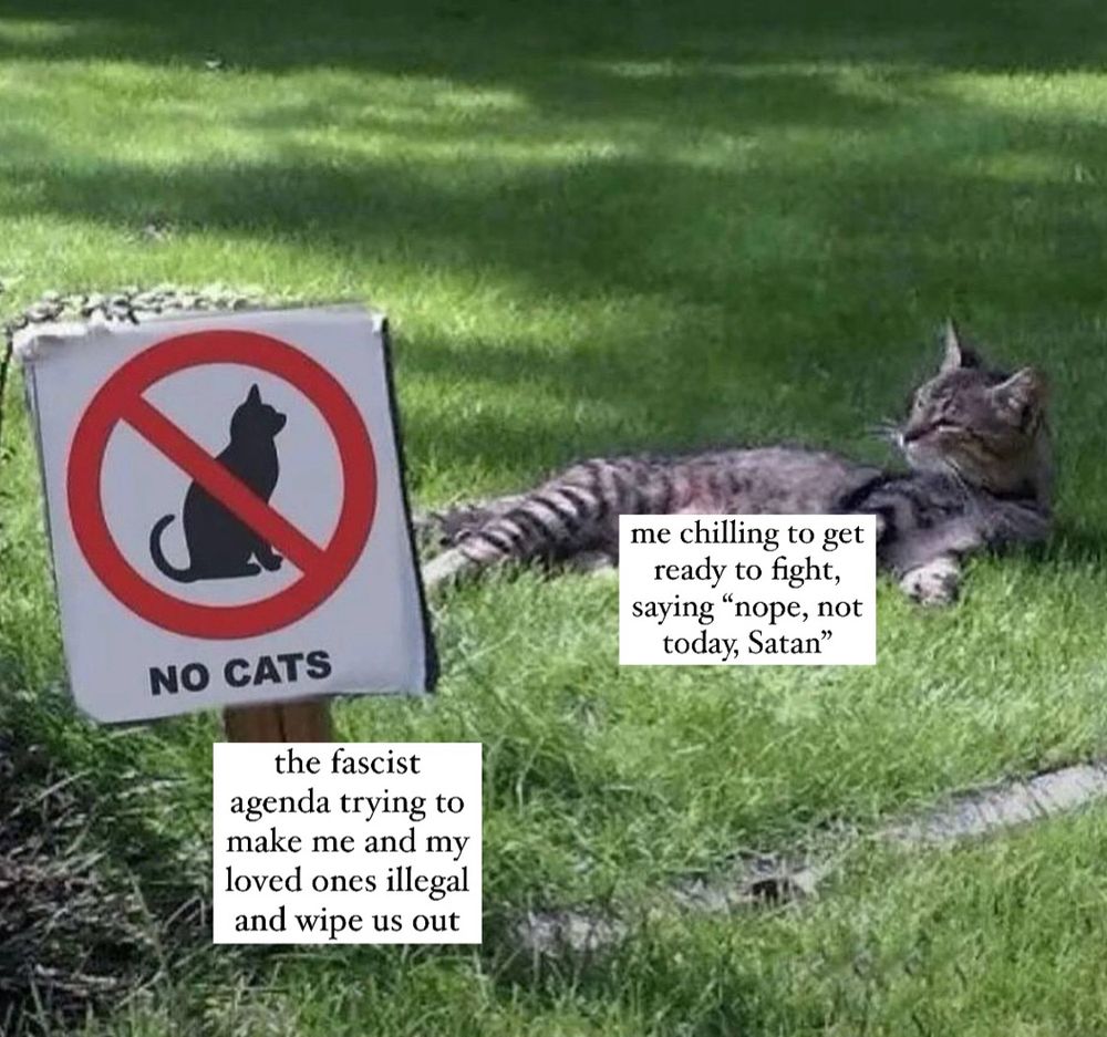 a photo of a tabby cat chilling next to a sign that says “NO CATS” with the words “the fascist agenda trying to make me and my loved ones illegal and wipe us out” by the sign picket and the text “me chilling to get ready to fight, saying ‘nope not today, Satan’” by the cat