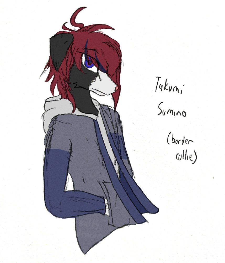 Mixed-media artwork of Takumi Sumino from The Hundred Line as a anthropomorphic black and white border collie.