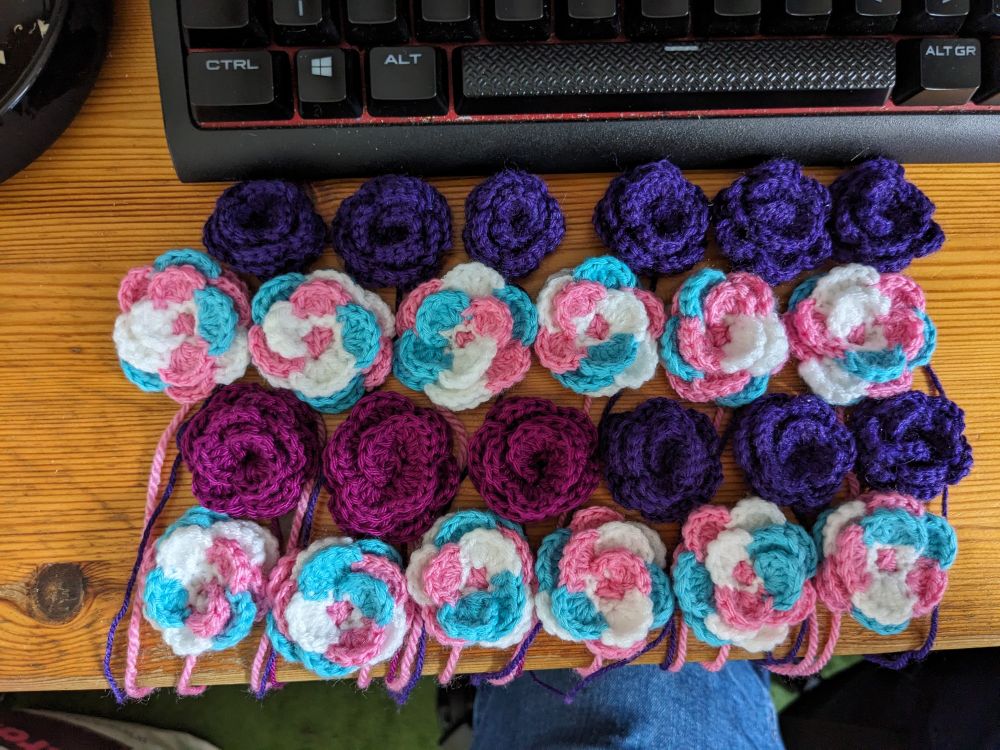 Four rows of six crochet roses. Twelve of them are purple, twelve of them are the colours of the trans flag.