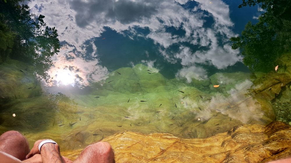 A beautiful scene from poço das esmeraldas in chapada dos veadeiros. A clear green water on a natural well full of little fishes, reflecting the sky