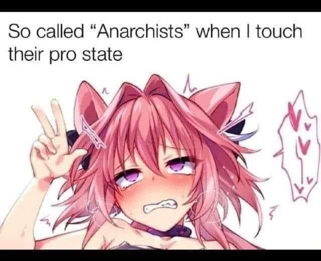 Picture of pink haired cat girl making an ahegao face. Text at the top reads: So called “Anarchists” when I touch their pro state