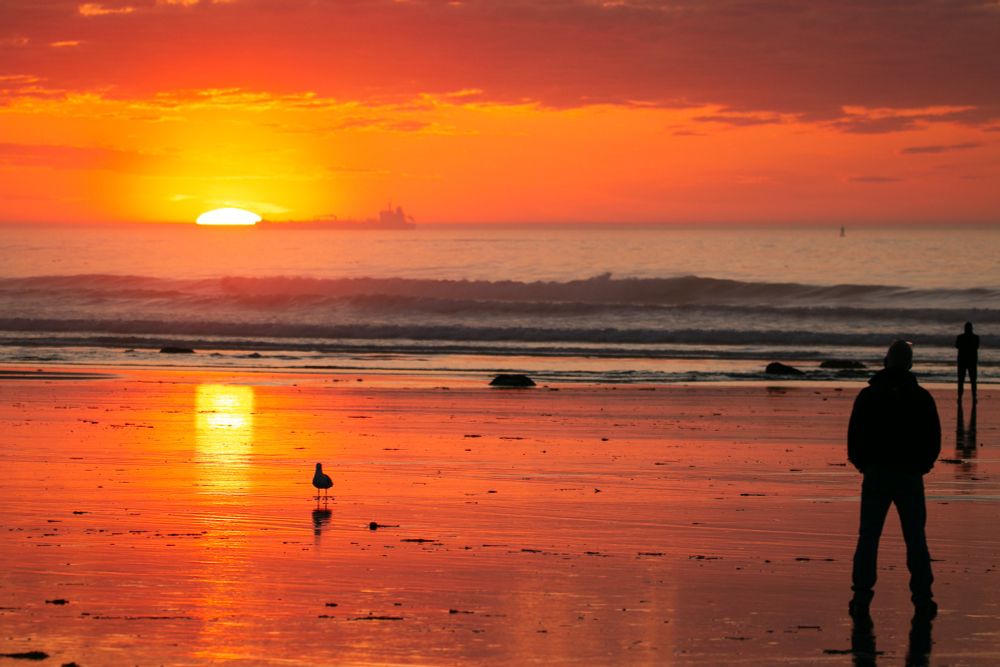 Sunrise on Jenness Beach in New Hampshire, with seagulls and beach walkers in the foreground and a red and orange sky. 