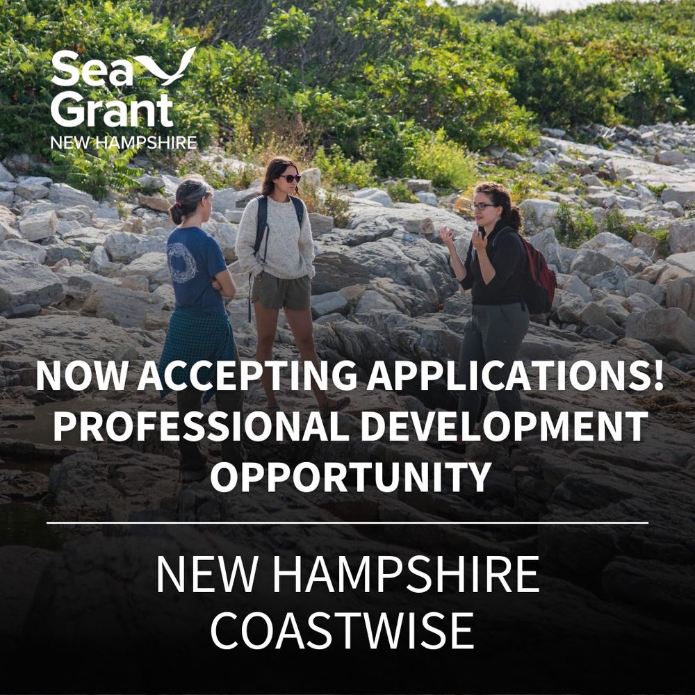 A group of CoastWise participants hang out together on Appledore Island's rocky coastline. 