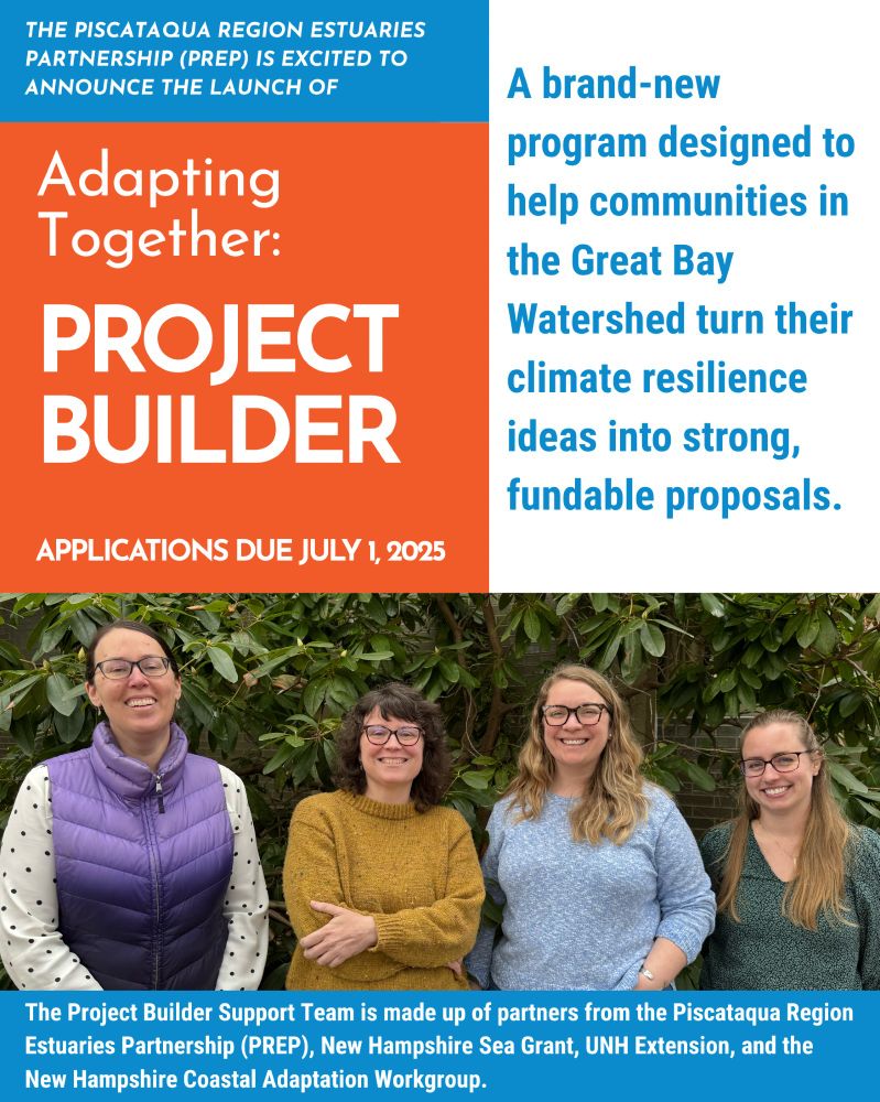 A flyer with an image of the working group on the bottom half of the image, and text describing the Project Builder above. 
