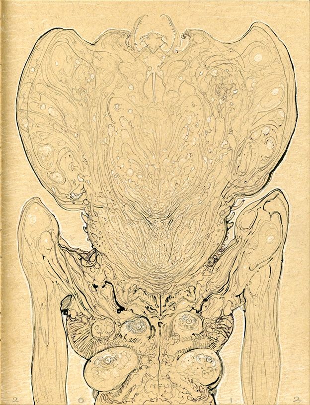 No clue what to say as an adequate description of this drawing. Also, I'm just very exhausted, entirely lacking the energy to write detailed descriptions of everything I post here. Sorry.