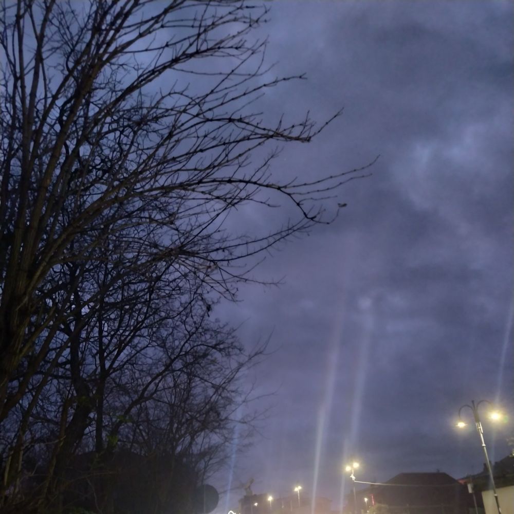 The sky with gray clouds and at the left  trees without leafs. It's evening 
