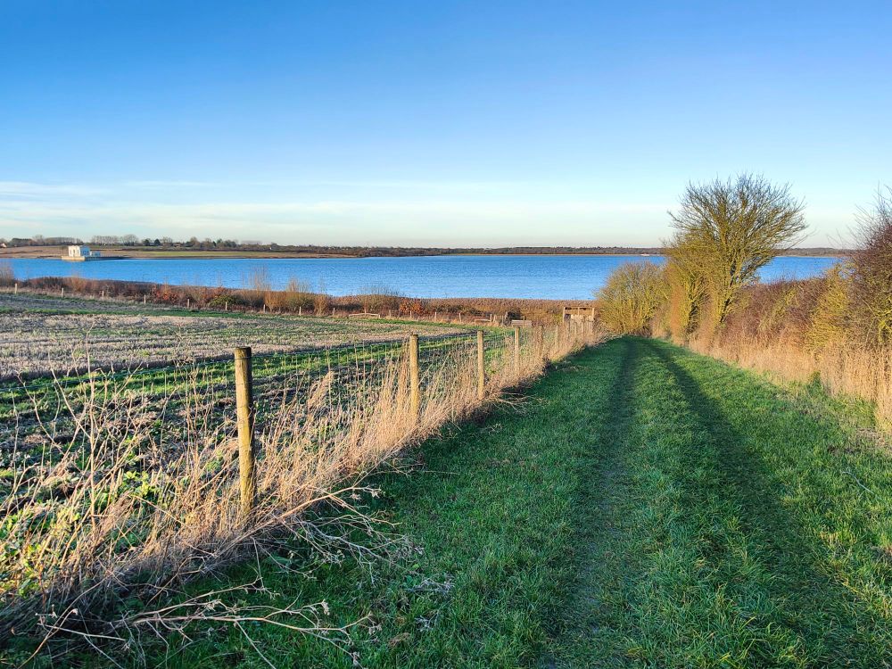 Grassy track down a hedge line towards a large expanse of open reservoir, all under clear blue skies