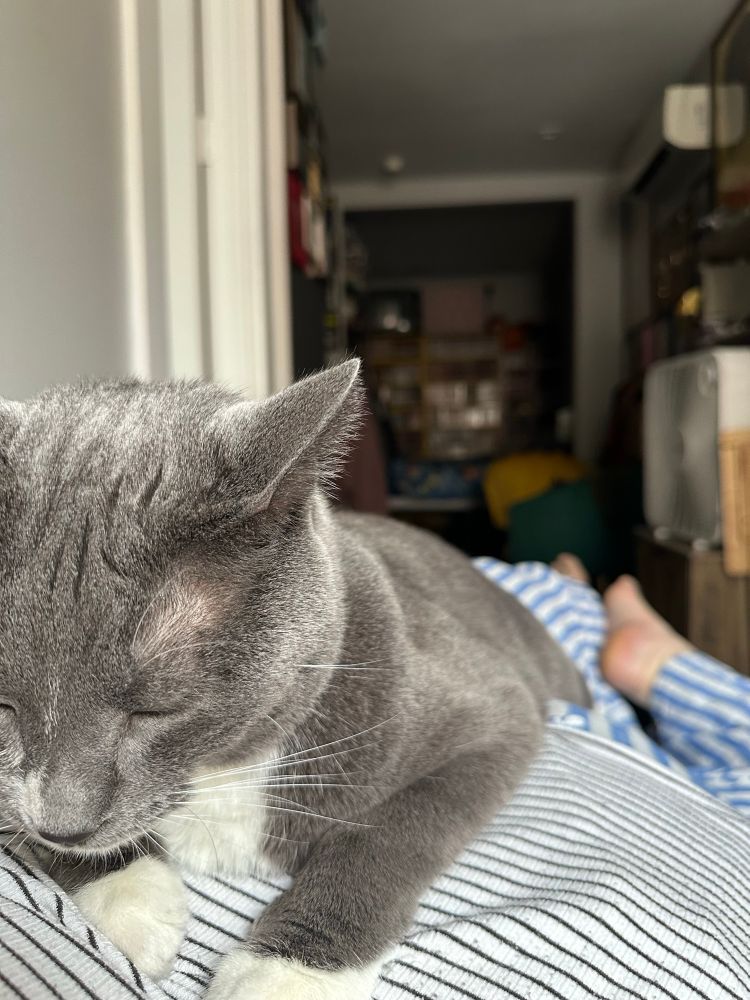 Jude sleeping on top of my stomach