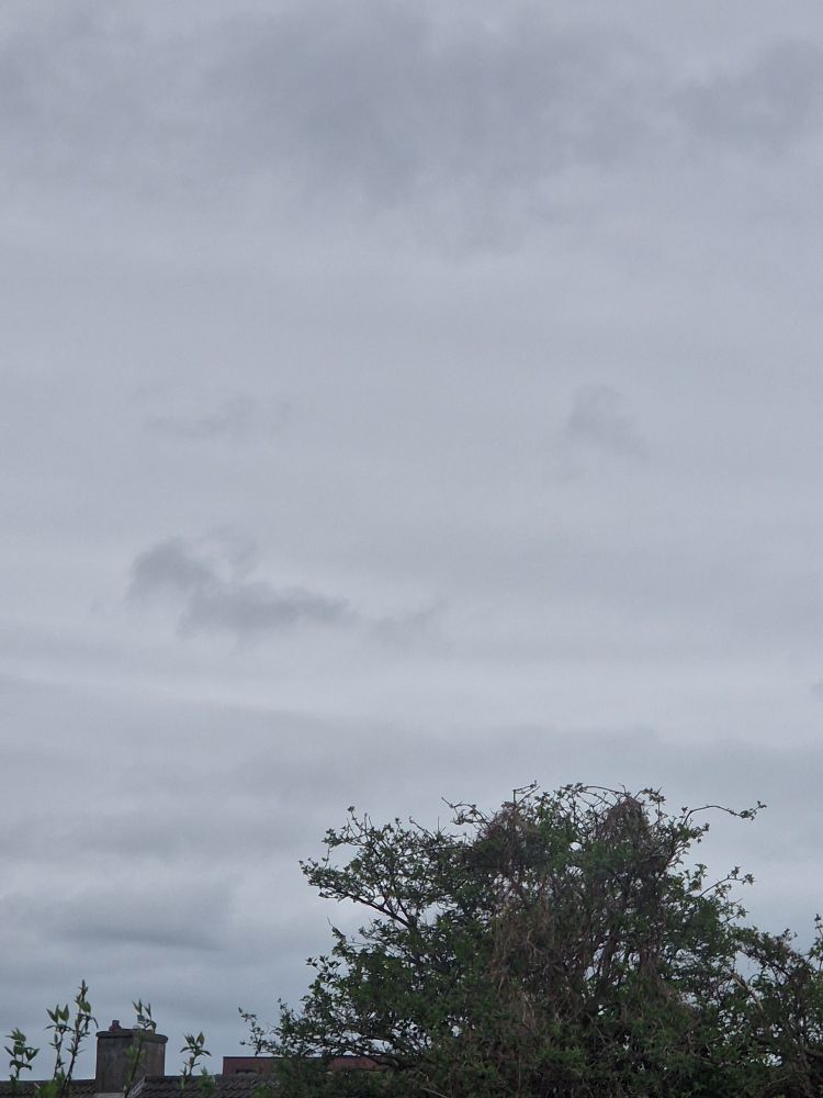 Picture of total grey cloud cover in ireland 