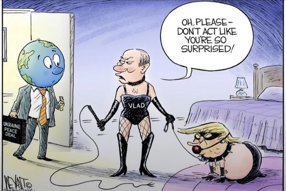 Comment image