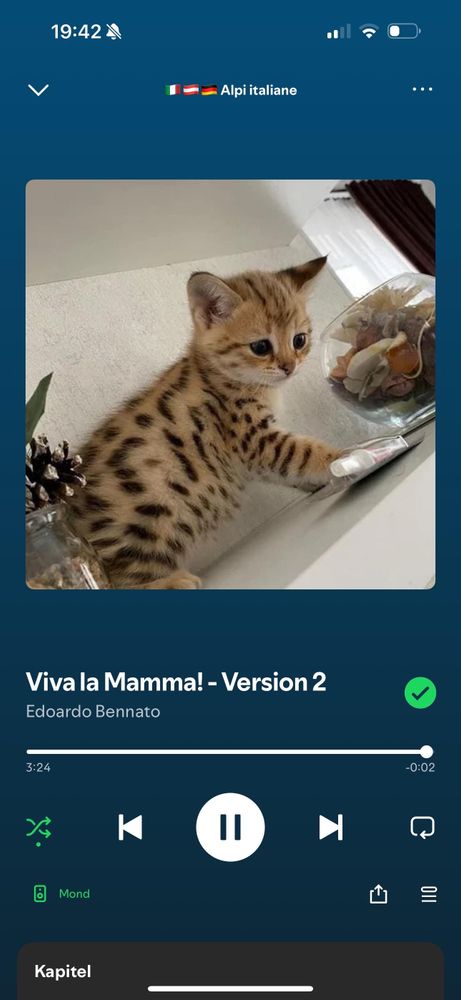 A small spotted kitten reaches for an object on a table, with a glass bowl of decorative items in the background. The image is overlaid with a music player interface displaying the song "Viva la Mamma!" by Edoardo Bennato.