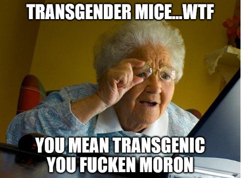 Comment image