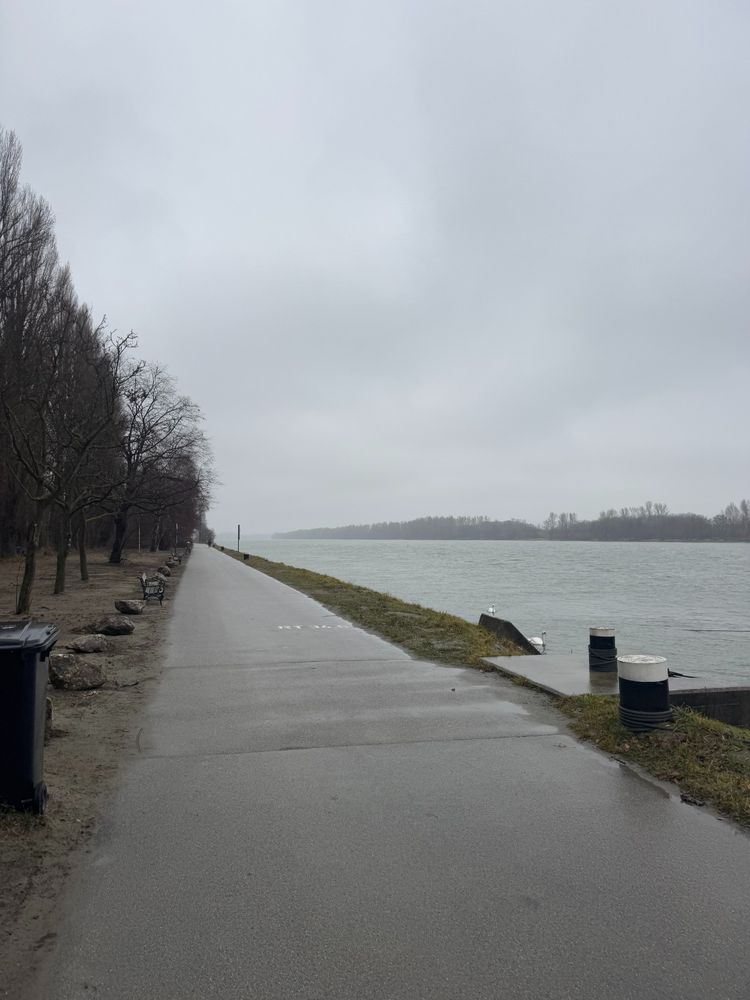 a foggy road next to a river