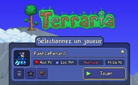 Fiche de mon perso Terraria complètement cheaté avec un stuff et un skin bleu stylé 💙🩵✨️