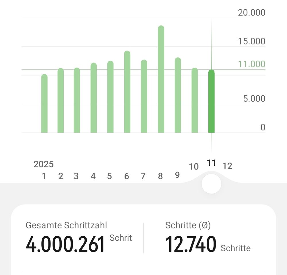 4000261 Schritte. Screenshot aus der App.