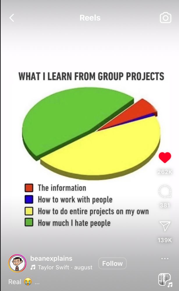 A pie chart analysing what I learn from group projects