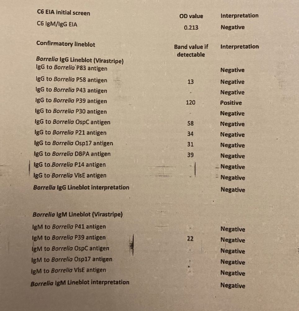 Lyme test results