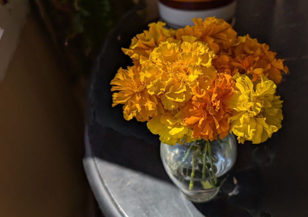 Vase of marigolds on a black table in partial sunlight.