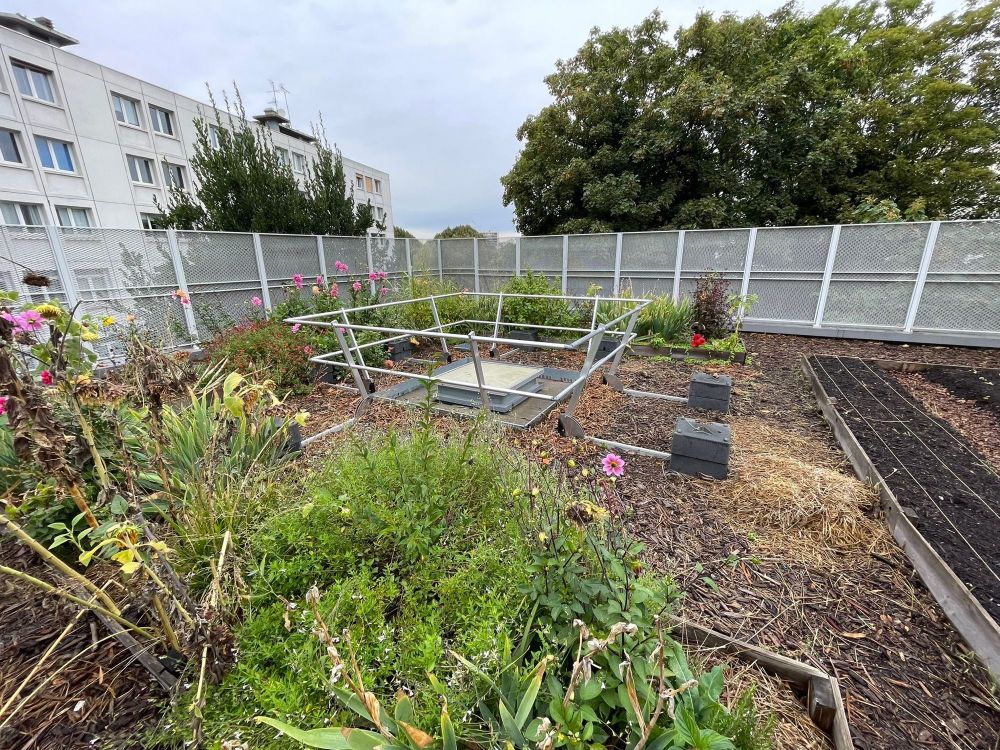 Le jardin végétalisé