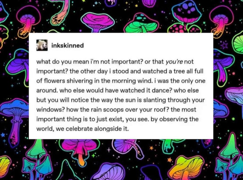Alt Text: What do you mean I'm not important? Or that you're not important? The other day I stood and watched a tree all full of flowers shivering in the morning wind. I was the only one around. Who else would have watched it dance? Who else but you will notice the way the sun is slanting through the windows? How the rain scoops over your roof? The most important thing is just to exist, you see. By observing the world, we celebrate along side it. 