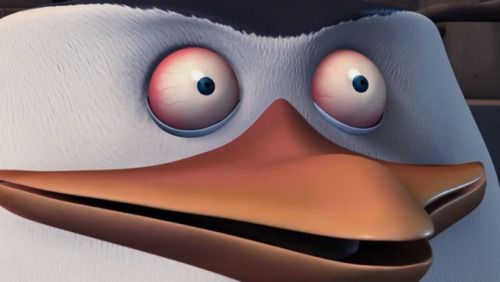 Animated penguin with wide eyes, raised eyebrows, and open beak, conveying surprise or shock. The close-up highlights the expressive face.