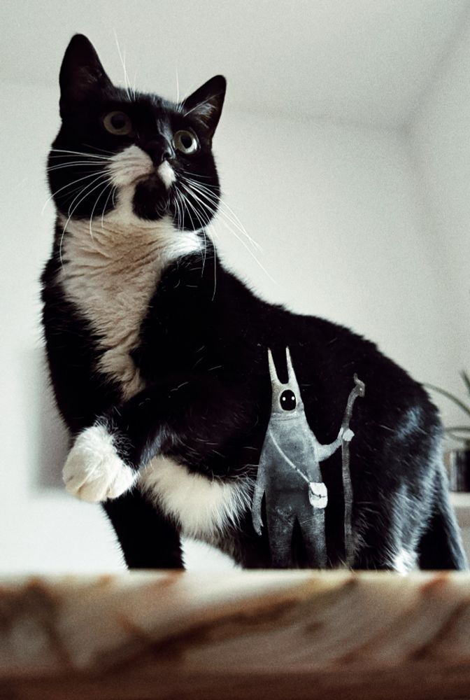 Das Bild zeigt eine schwarz-weiße Katze mit einem auffälligen weißen Brustbereich und weißen Pfoten. Die Katze steht auf einer erhöhten Fläche, einem Tisch, und blickt leicht nach oben, wodurch sie einen majestätischen und aufmerksamen Eindruck vermittelt.
Vor ihr ist eine kleine, fantasievolle Figur hinzugefügt worden. Diese Figur hat große schwarze Augen, lange Hörner und trägt eine Tasche sowie einen Stock, was sie wie einen kleinen Abenteurer oder Wanderer erscheinen lässt. Der Hintergrund ist schlicht und hell, wodurch die Katze und die Figur klar im Fokus stehen.