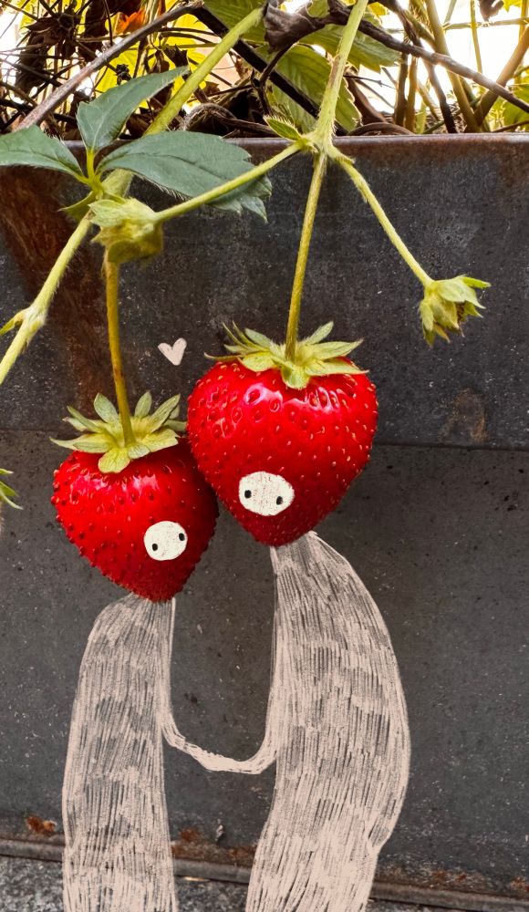 Illustriertes Foto: zwei reife Erdbeeren digital illustriert als Händchen haltende einander zugeneigte Wesen
