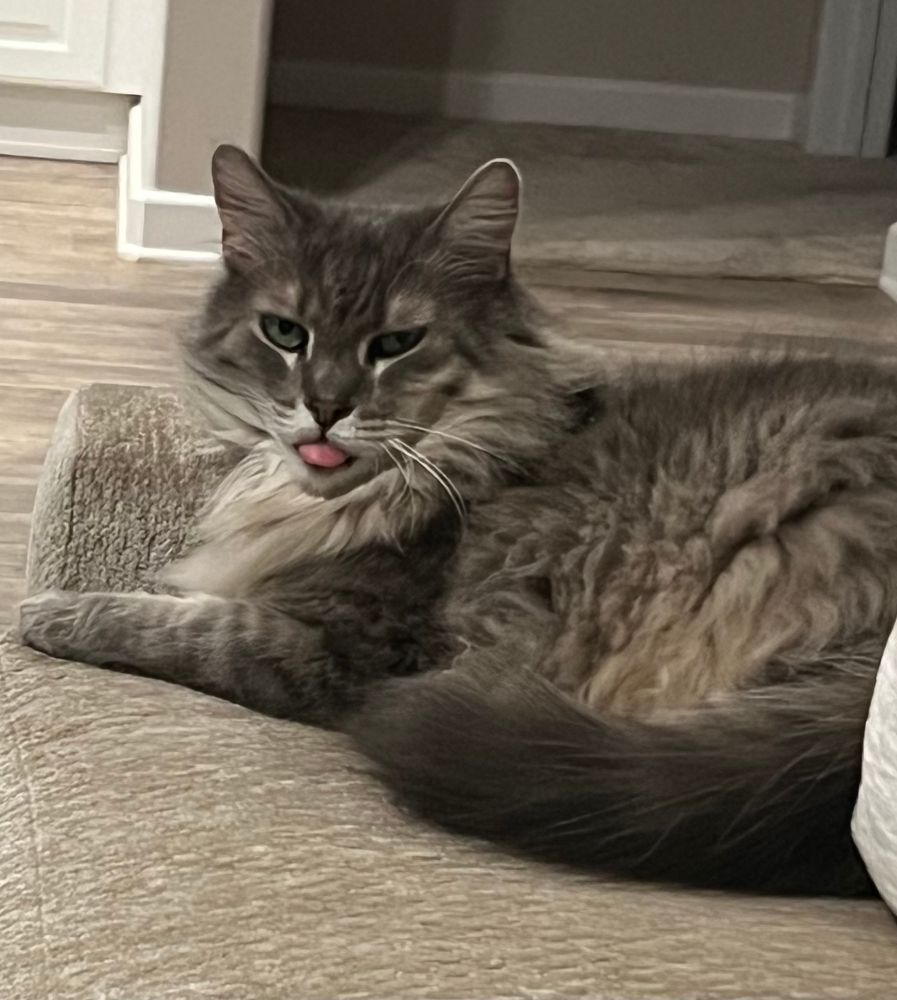 Oscar Wild aka the grouch