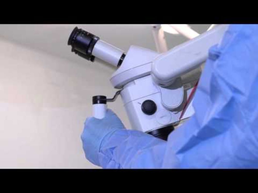 Conoce el Servicio de Experimentación Animal de la Universidad de Córdoba