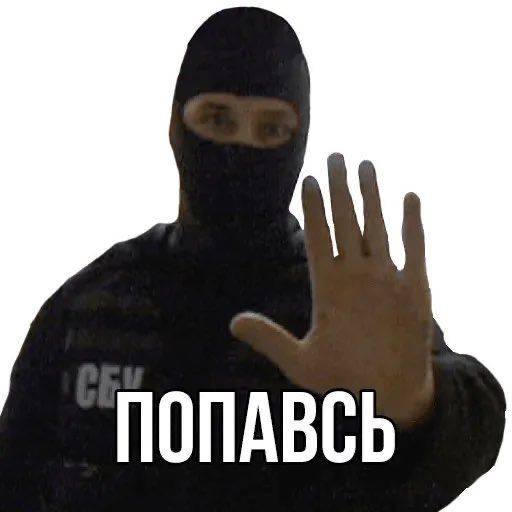 Comment image