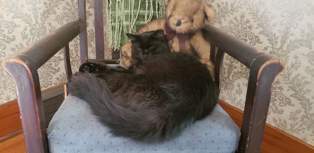 A black cat on a rocking chair resting his head on a teddy bear.