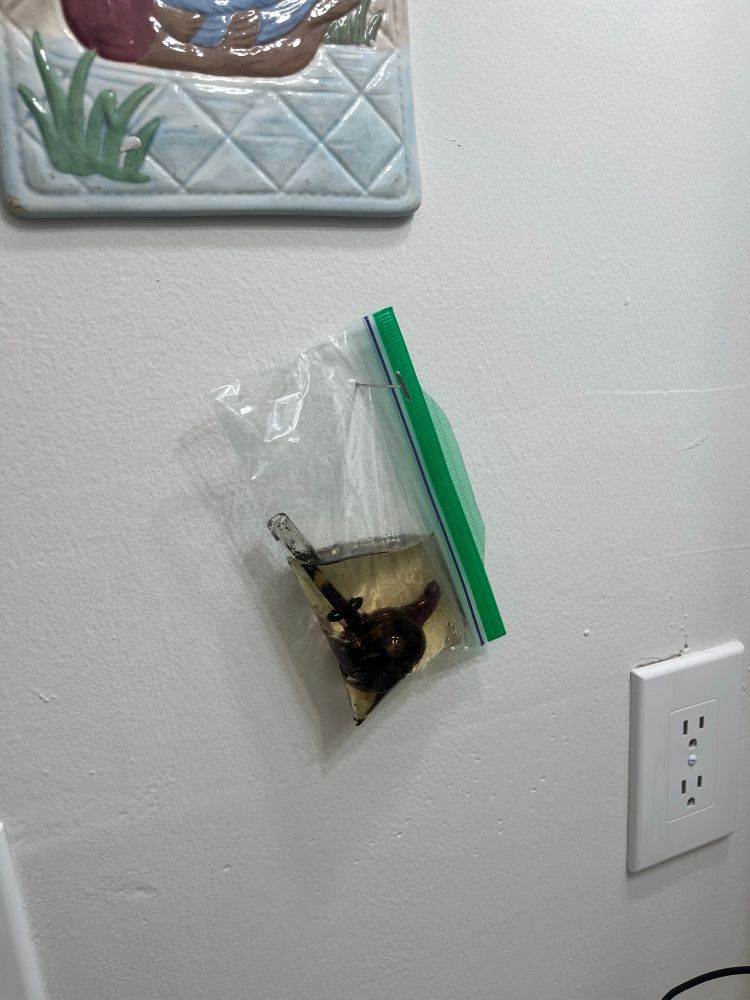 the bowl for a bong soaking in a sandwich bag full of alcohol. it's tacked to the wall with a wig pin