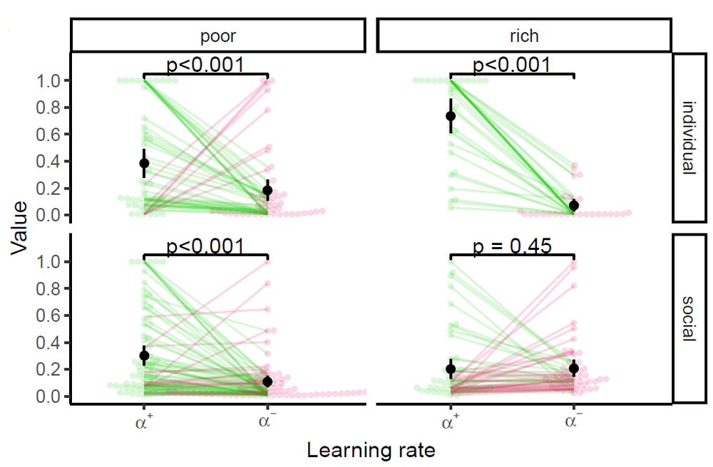 Beeswarm plots comparing positive and negative learning rates across conditions. The positive learning rate is significantly higher than the negative learning rate in poor and rich environments for individual learning, and in poor environments for social learning. There is no significant difference between learning rates in rich environments for social learning.