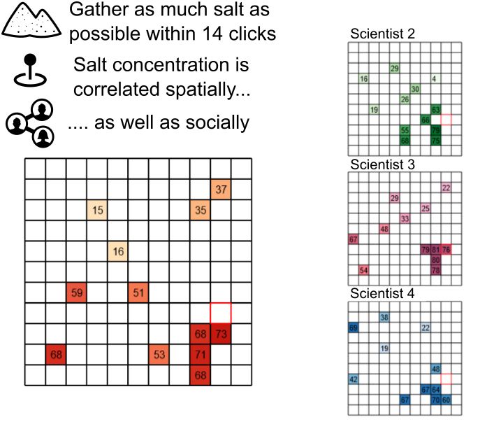 A screenshot of the socially correlated bandit task. Groups of 4 participants explore spatially correlated bandits, which are also socially correlated. They have a limited number of clicks to explore, and are trying to maximize their payoff.