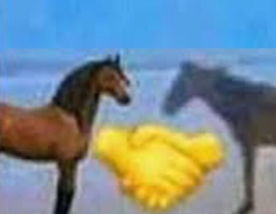 low quality image of two horses, one solid and the other transparent, are facing each other on a beach shore. Between them is a handshake emoji. 