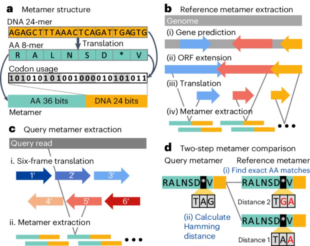 Metabuli: sensitive and specific metagenomic classification via joint analysis of amino acid and DNA - Nature Methods