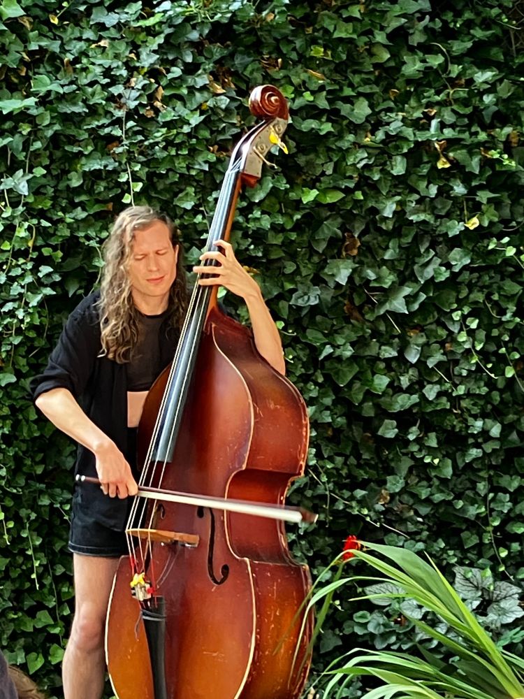A blonde, handsome and graceful person bows upright bass framed by grass and ivy
