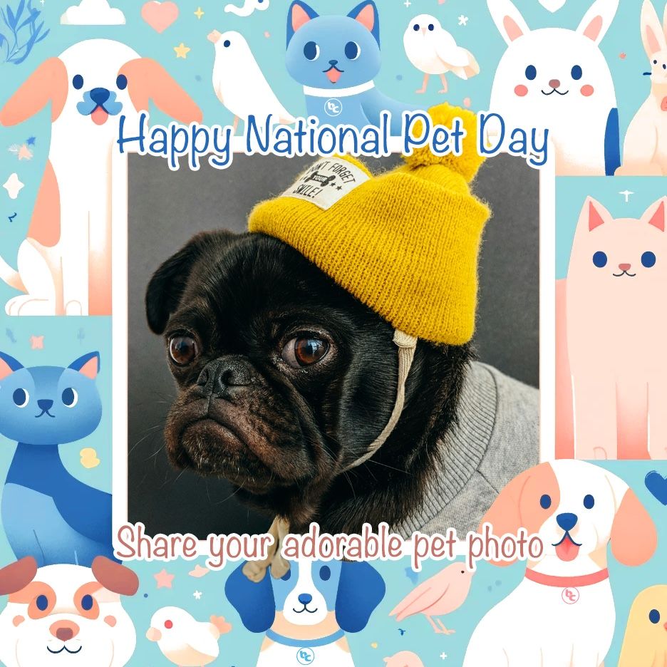photo of cute dog with a beanie hat and caption of "happy national pet day" and "share your adorable pet photo".