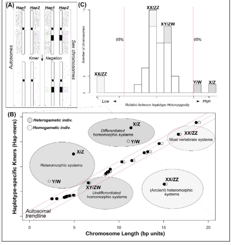 Graphical overview of the biological foundations of the proposed approach. 