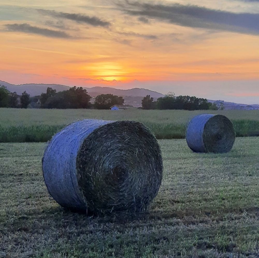 An evening sunset over distant hills, making an orange sky stand out above a field, with two circular hay bales appearing to be dark blue in the fading light.